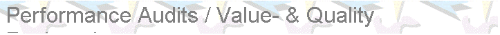Textfeld: Performance Audits / Value- & Quality Engineering