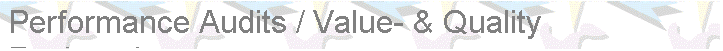 Textfeld: Performance Audits / Value- & Quality Engineering